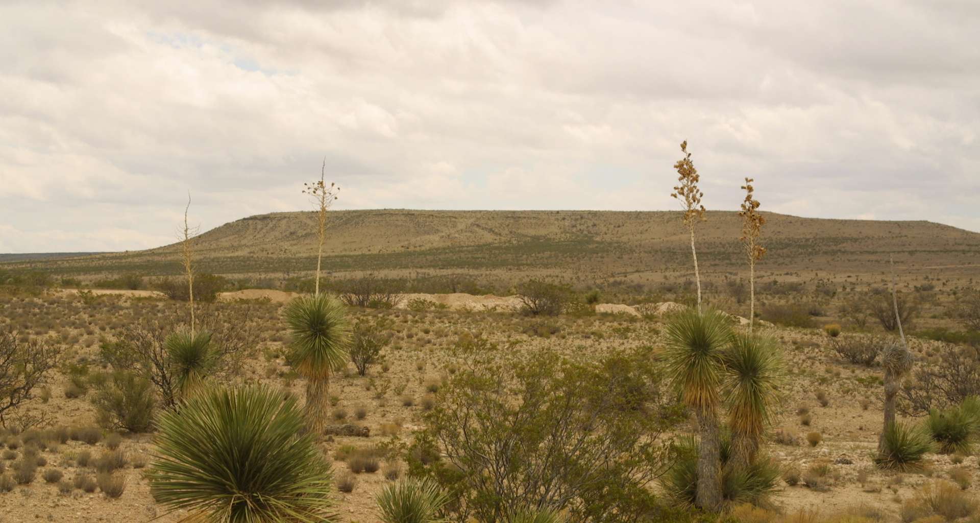 rural texas land