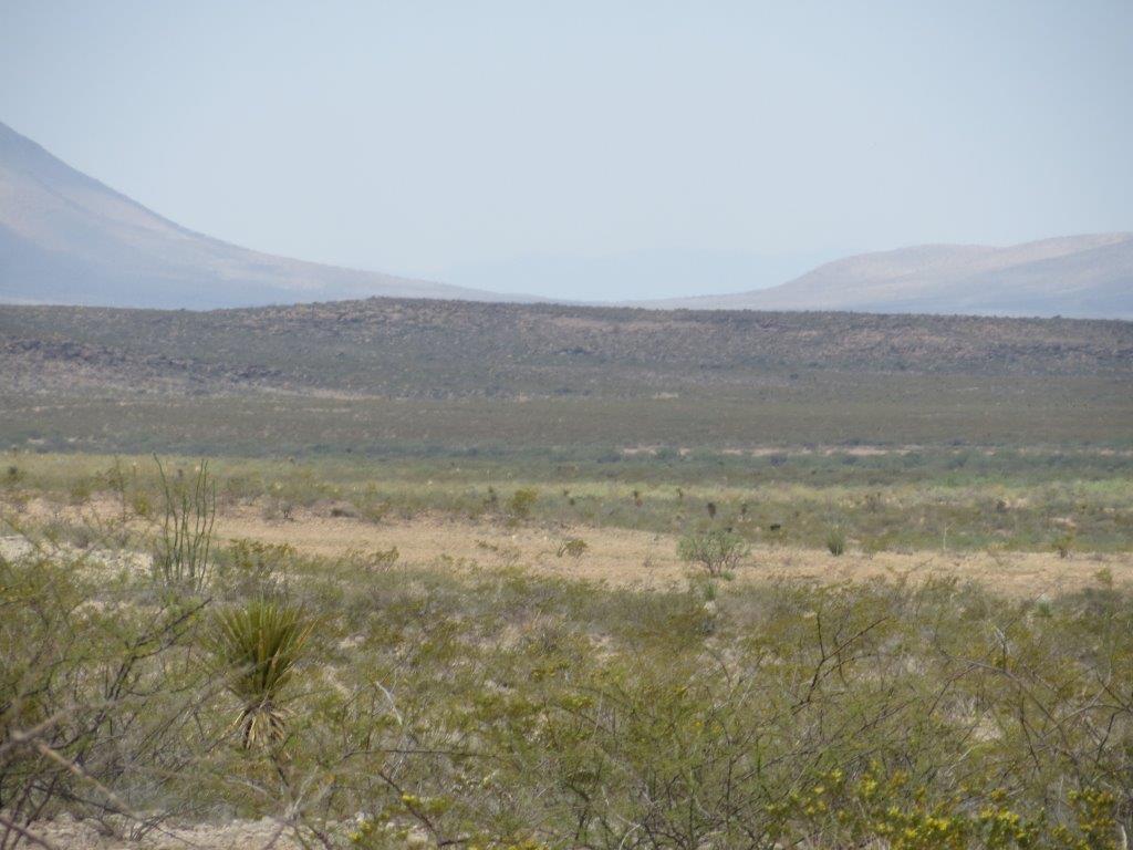 BQ Ranch Land