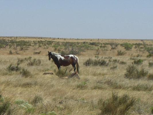 BQ Ranch Land