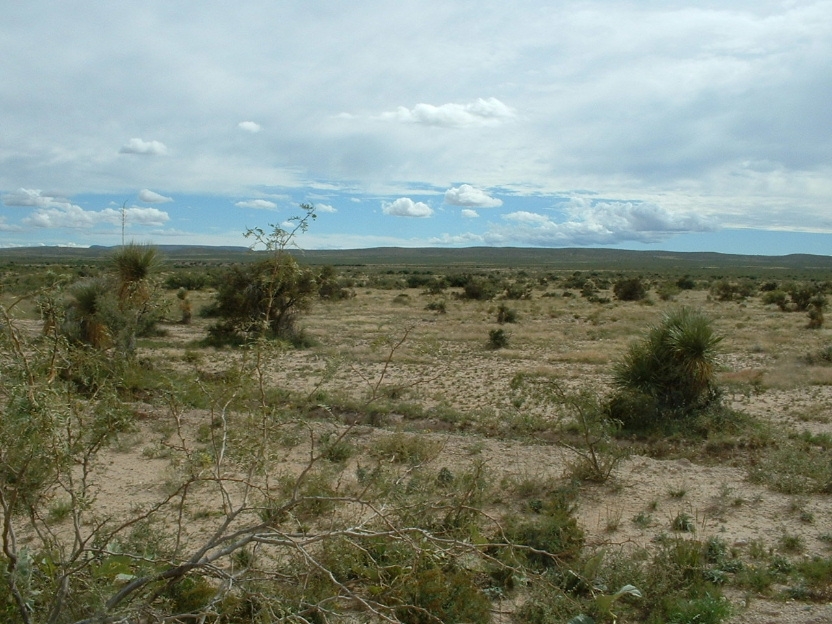 BQ Ranch Land