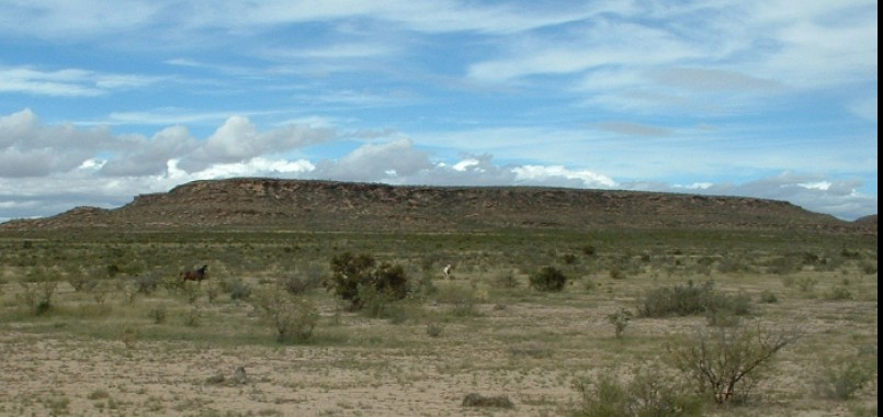 BQ Ranch Land