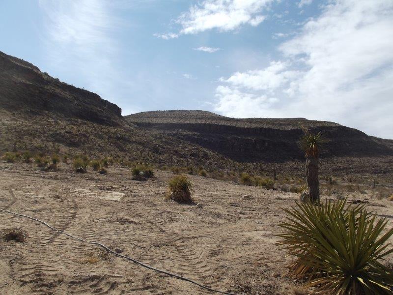 BQ Ranch Land