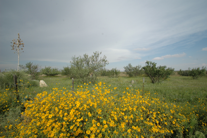 BQ Ranch Land