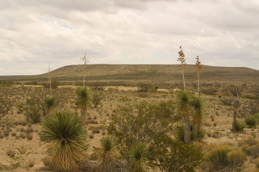 Cornudas Ranch Land