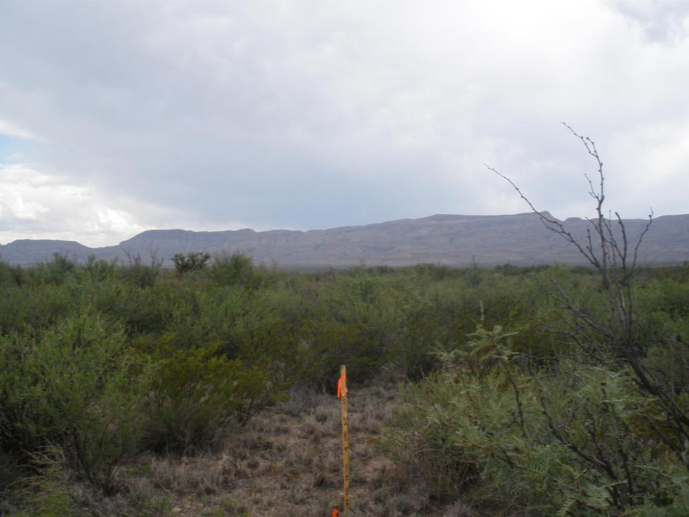 I-10 Ranch Land