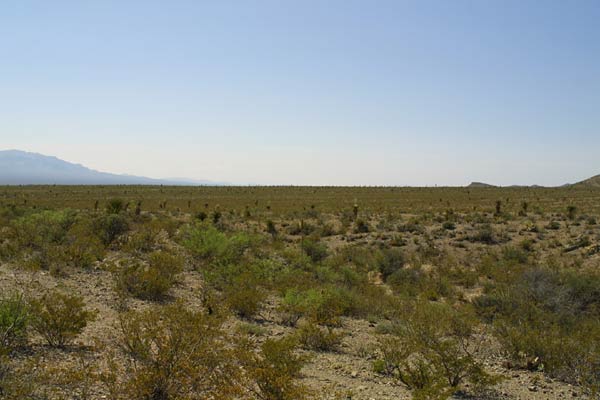 I-10 Ranch Land