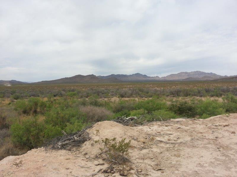 I-10 Ranch Land