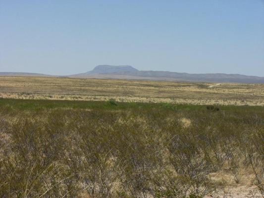 I-10 Ranch Land