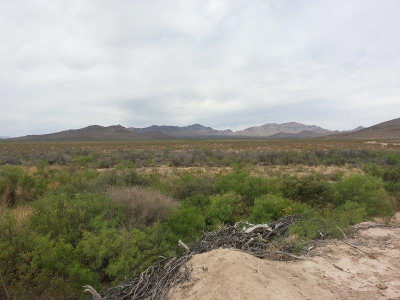 I-10 Ranch Land