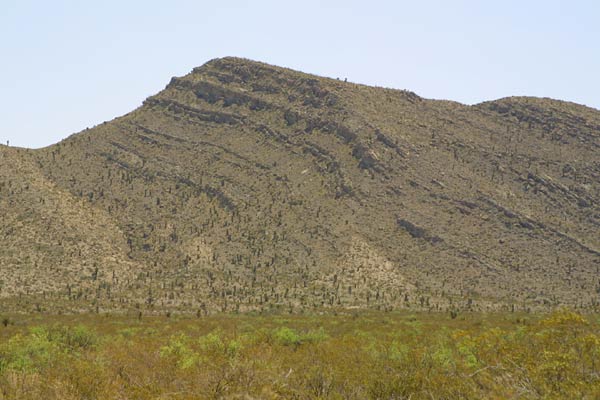 I-10 Ranch Land