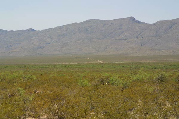 I-10 Ranch Land