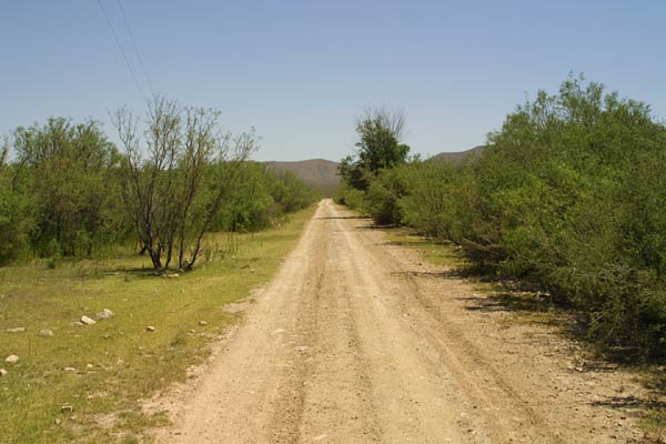 I-10 Ranch Land