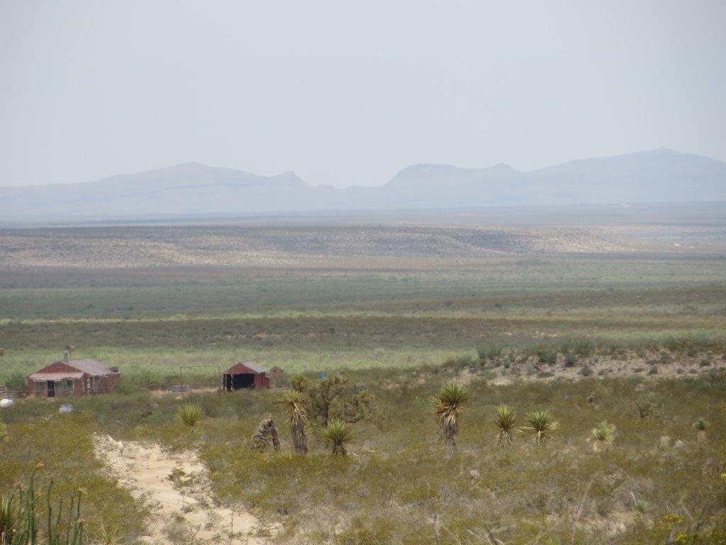 Fabens Ranch Land